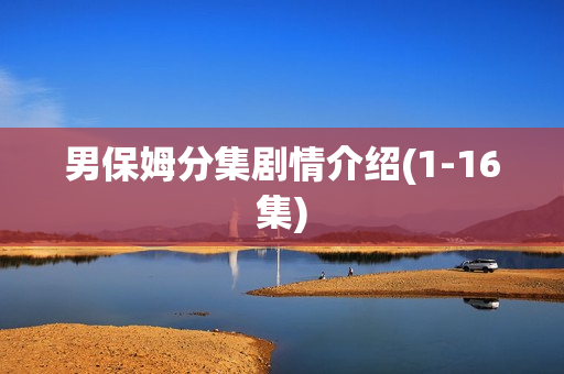 男保姆分集剧情介绍(1-16集) 男保姆分集剧情介绍(1-16集)