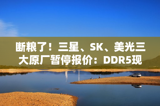 断粮了！三星、SK、美光三大原厂暂停报价：DDR5现货价一周暴涨25%