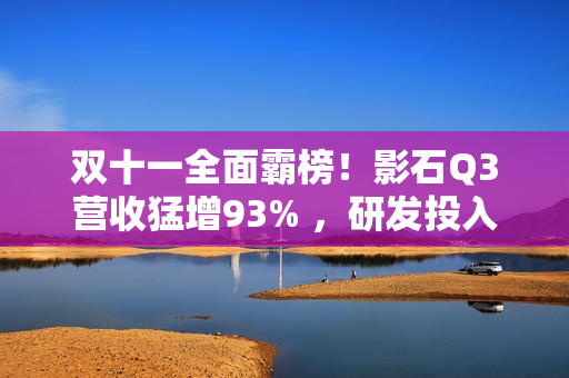 双十一全面霸榜！影石Q3营收猛增93% ，研发投入翻倍加码定制芯片