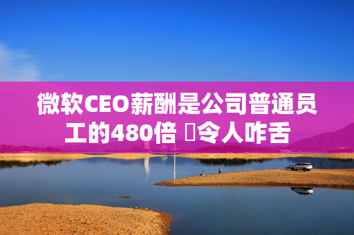 微软CEO薪酬是公司普通员工的480倍 ‌令人咋舌