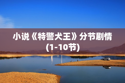 小说《特警犬王》分节剧情(1-10节)