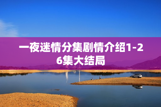 一夜迷情分集剧情介绍1-26集大结局