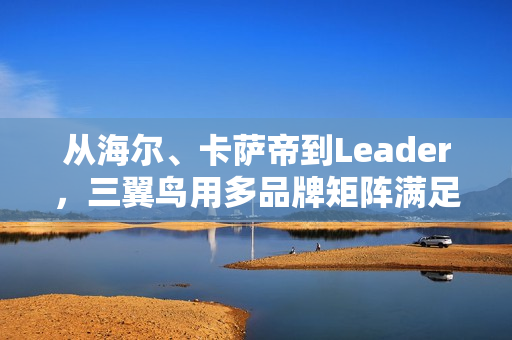 从海尔、卡萨帝到Leader，三翼鸟用多品牌矩阵满足中国家庭需求