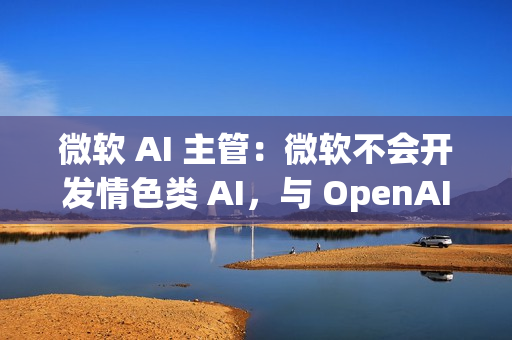 微软 AI 主管：微软不会开发情色类 AI，与 OpenAI 划清界限