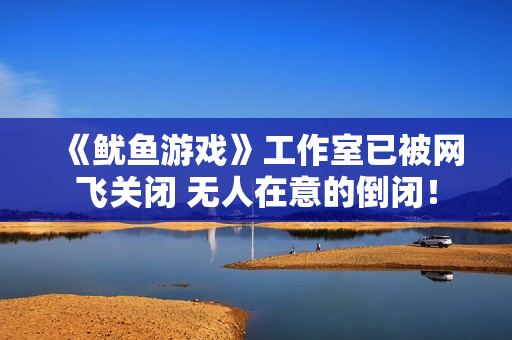 《鱿鱼游戏》工作室已被网飞关闭 无人在意的倒闭！