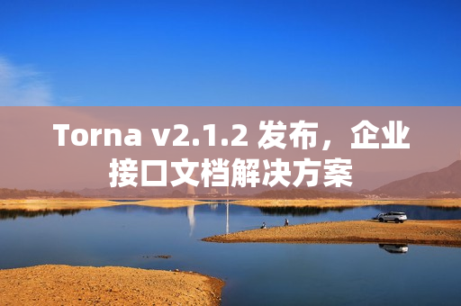 Torna v2.1.2 发布，企业接口文档解决方案