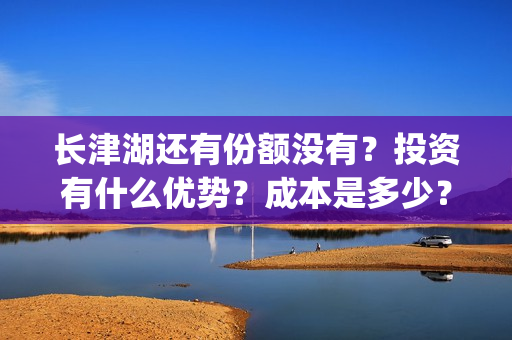 长津湖还有份额没有？投资有什么优势？成本是多少？(长津湖还有后续吗)