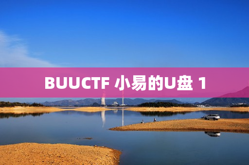 BUUCTF 小易的U盘 1