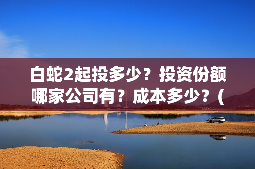 白蛇2起投多少？投资份额哪家公司有？成本多少？(白蛇2耗资)