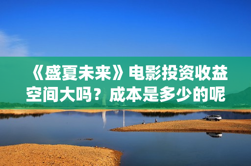 《盛夏未来》电影投资收益空间大吗？成本是多少的呢？怎么投资呢？(《盛夏未来》电影)