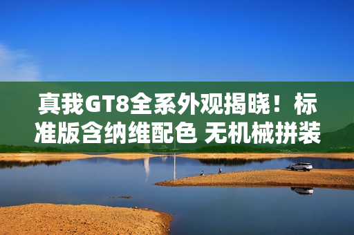 真我GT8全系外观揭晓！标准版含纳维配色 无机械拼装