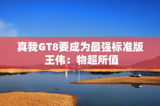真我GT8要成为最强标准版 王伟：物超所值