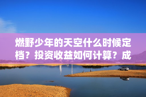 燃野少年的天空什么时候定档？投资收益如何计算？成本是多少？(燃野少年的天空主题曲)
