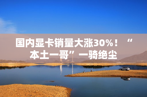 国内显卡销量大涨30%！“本土一哥”一骑绝尘