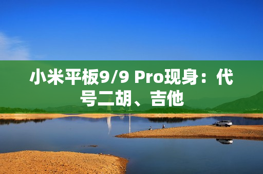 小米平板9/9 Pro现身：代号二胡、吉他