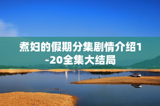 煮妇的假期分集剧情介绍1-20全集大结局