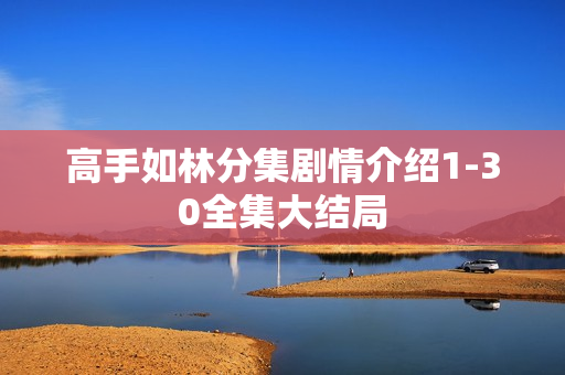 高手如林分集剧情介绍1-30全集大结局