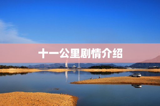 十一公里剧情介绍 十一公里剧情介绍