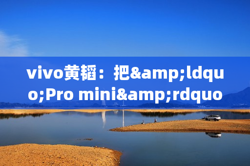 vivo黄韬：把&ldquo;Pro mini&rdquo;命名X300现在看有些吃亏