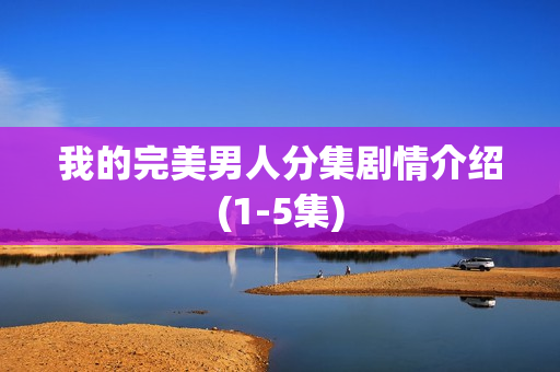 我的完美男人分集剧情介绍(1-5集)