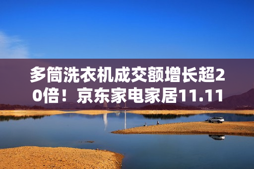 多筒洗衣机成交额增长超20倍！京东家电家居11.11引领消费趋势