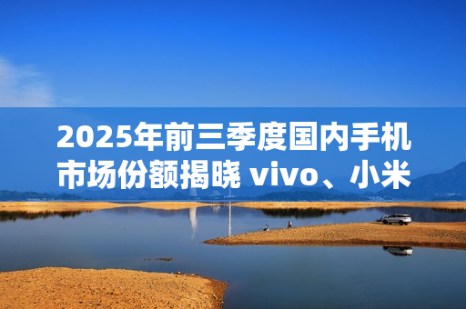 2025年前三季度国内手机市场份额揭晓 vivo、小米前二