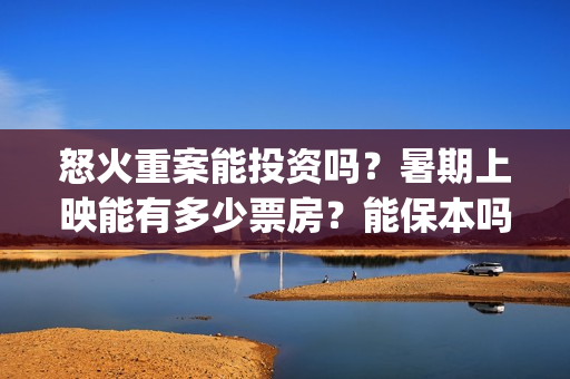 怒火重案能投资吗？暑期上映能有多少票房？能保本吗？(怒火重案投资金额)