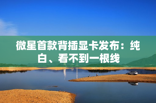 微星首款背插显卡发布：纯白、看不到一根线