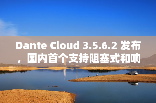 Dante Cloud 3.5.6.2 发布，国内首个支持阻塞式和响应式融合的微服务
