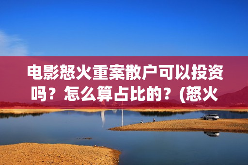 电影怒火重案散户可以投资吗？怎么算占比的？(怒火重案原版)