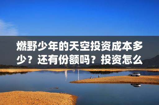 燃野少年的天空投资成本多少？还有份额吗？投资怎么参与？(燃野少年的天空和风犬少年的天空)
