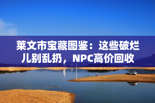 莱文市宝藏图鉴:这些破烂儿别乱扔,NPC高价回收 莱文市宝藏图鉴:这些破烂儿别乱扔,NPC高价回收