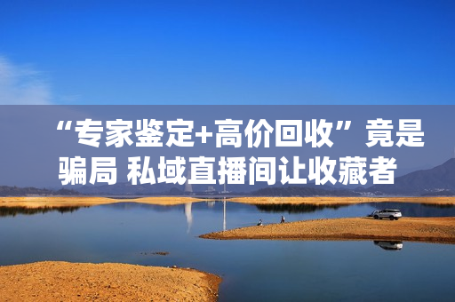 “专家鉴定+高价回收”竟是骗局 私域直播间让收藏者血本无归