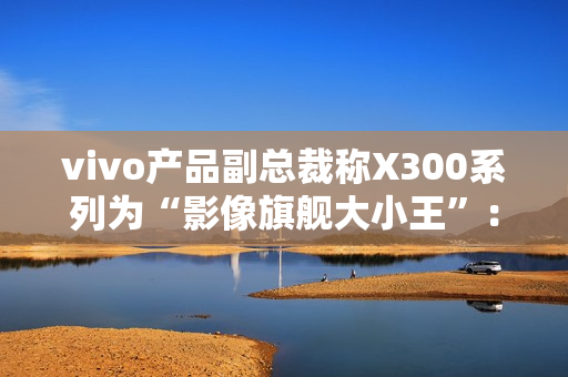 vivo产品副总裁称X300系列为“影像旗舰大小王”：没有标准版