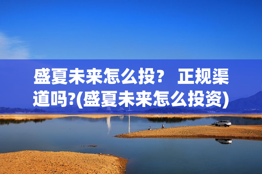 盛夏未来怎么投？ 正规渠道吗?(盛夏未来怎么投资)