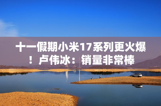 十一假期小米17系列更火爆！卢伟冰：销量非常棒