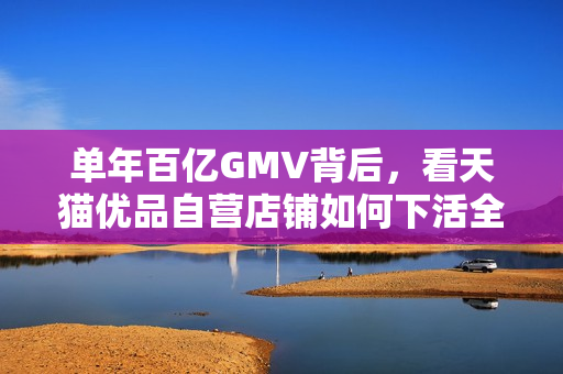 单年百亿GMV背后，看天猫优品自营店铺如何下活全域零售一盘棋？