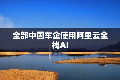 全部中国车企使用阿里云全栈AI