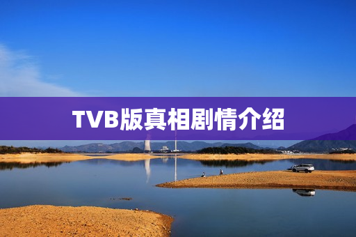 TVB版真相剧情介绍 TVB版真相剧情介绍