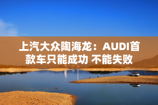 上汽大众陶海龙：AUDI首款车只能成功 不能失败