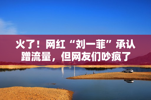 火了！网红“刘一菲”承认蹭流量，但网友们吵疯了
