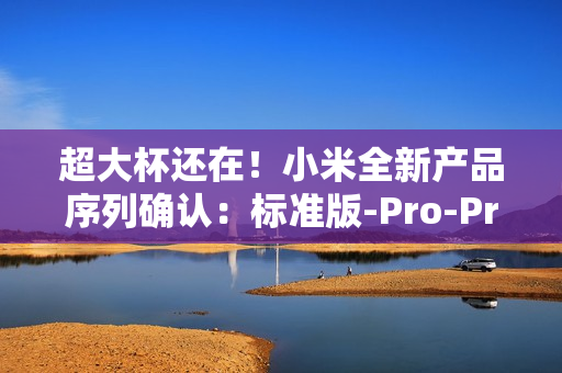 超大杯还在！小米全新产品序列确认：标准版-Pro-Pro Max-Ultra