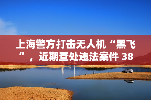 上海警方打击无人机“黑飞”，近期查处违法案件 380 余起
