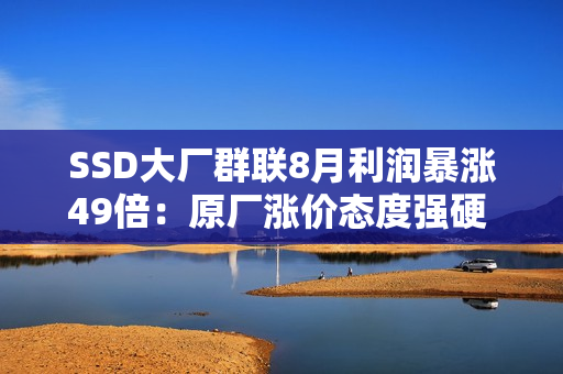 SSD大厂群联8月利润暴涨49倍：原厂涨价态度强硬 明年得缺货