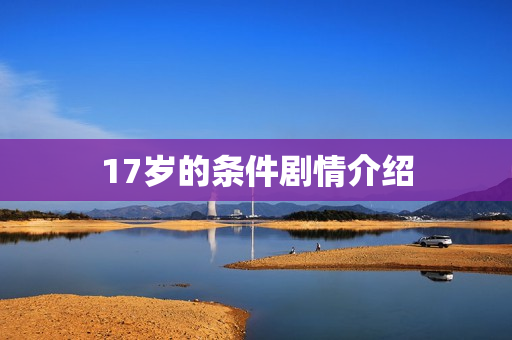 17岁的条件剧情介绍