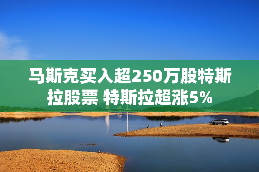 马斯克买入超250万股特斯拉股票 特斯拉超涨5%