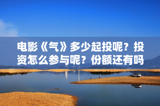 电影《气》多少起投呢？投资怎么参与呢？份额还有吗？