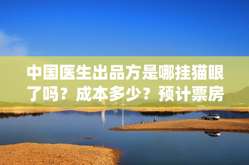 中国医生出品方是哪挂猫眼了吗？成本多少？预计票房怎么样？(中国医生有份额的出品方公司)