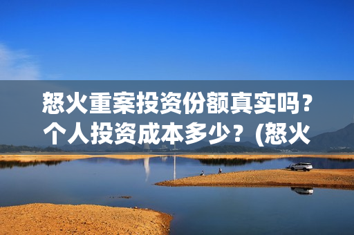 怒火重案投资份额真实吗？个人投资成本多少？(怒火重案投资的风险在哪里?)