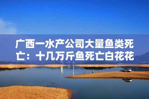 广西一水产公司大量鱼类死亡:十几万斤鱼死亡白花花铺满鱼塘 广西一水产公司大量鱼类死亡:十几万斤鱼死亡白花花铺满鱼塘